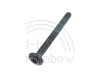 PowerBook Screw, Bottom Case, 23mm T8 (190,5300,3400,G3 Kanga)